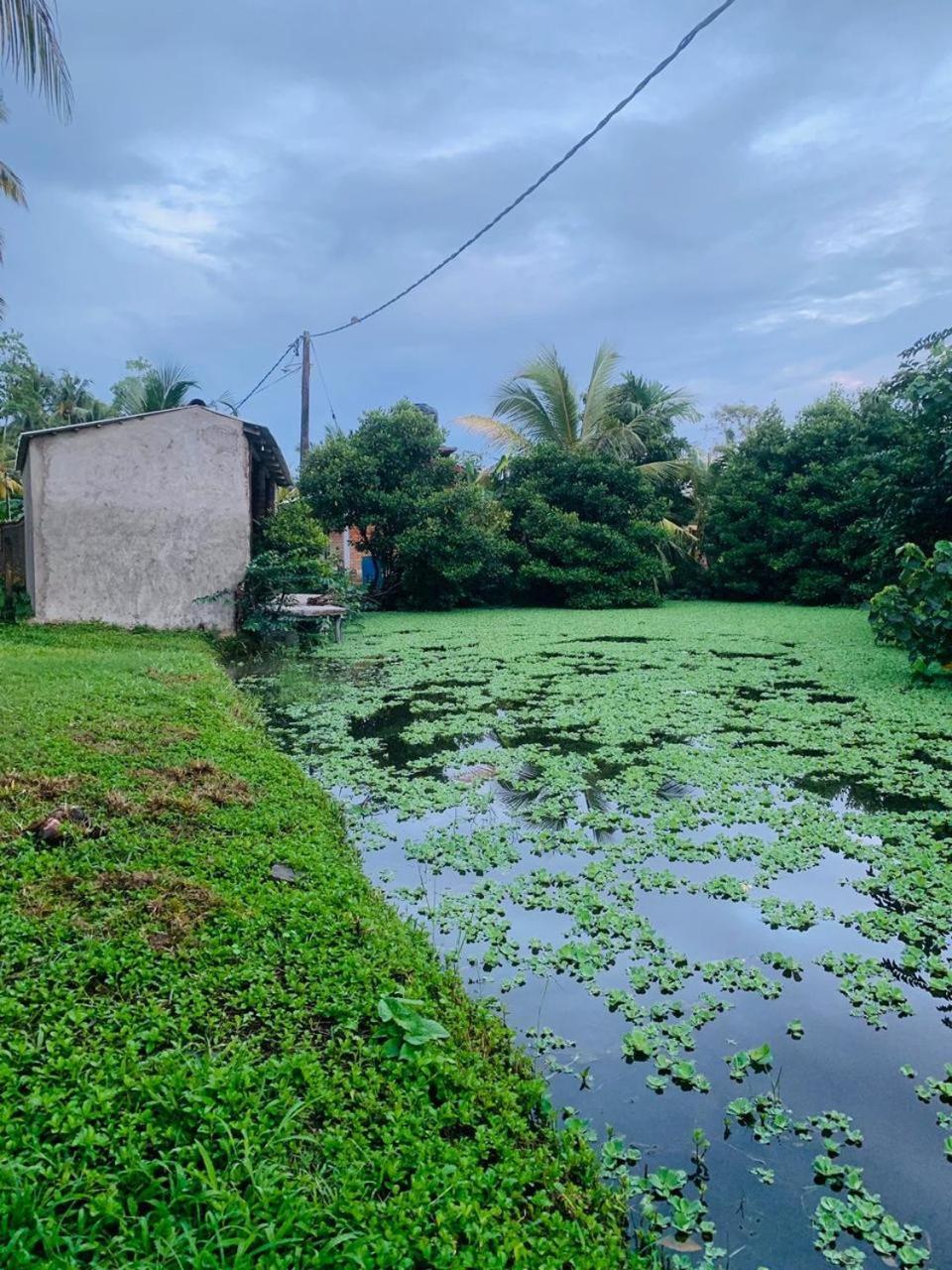 Ashok Villa Weligama Esterno foto