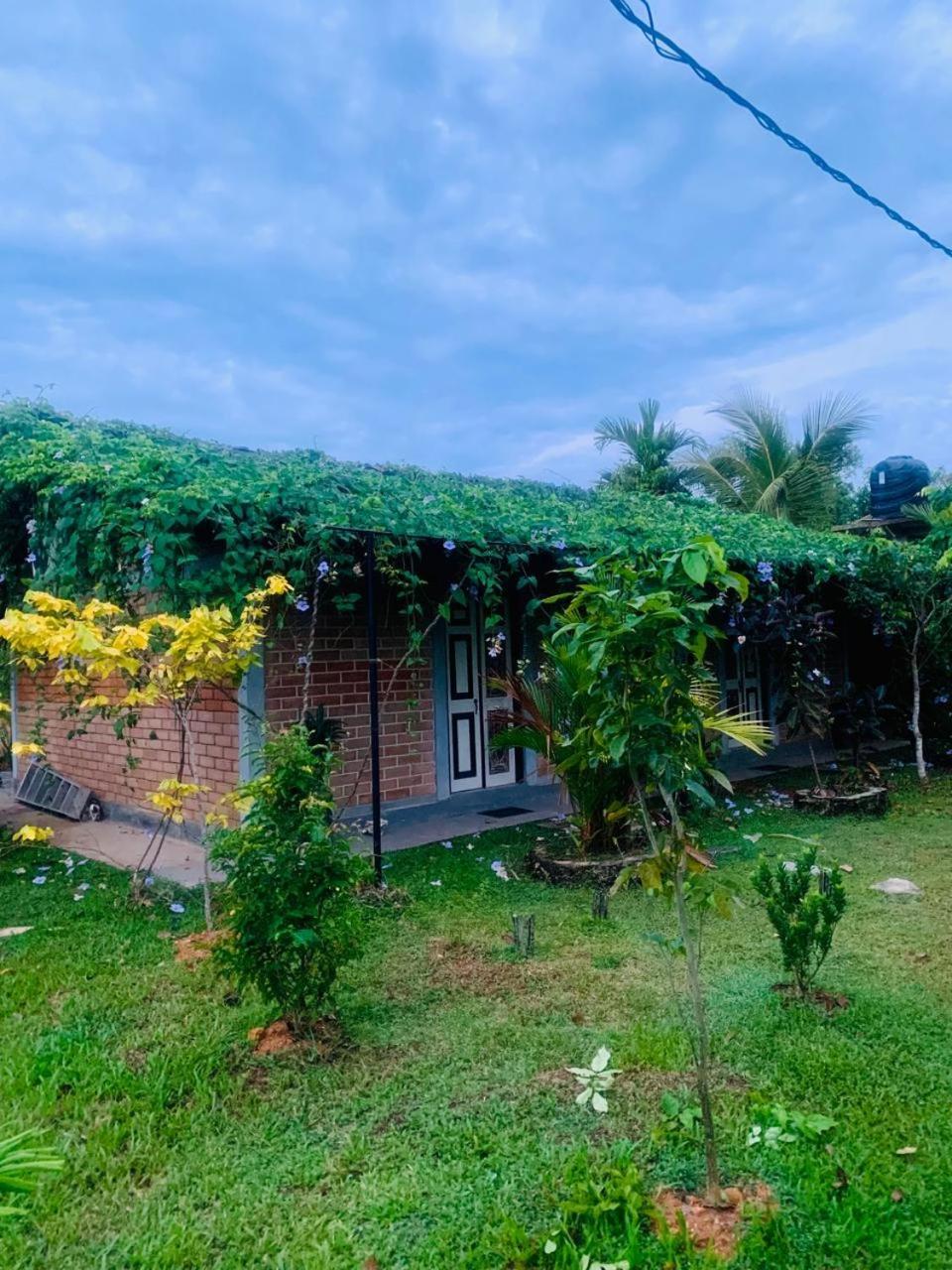 Ashok Villa Weligama Esterno foto