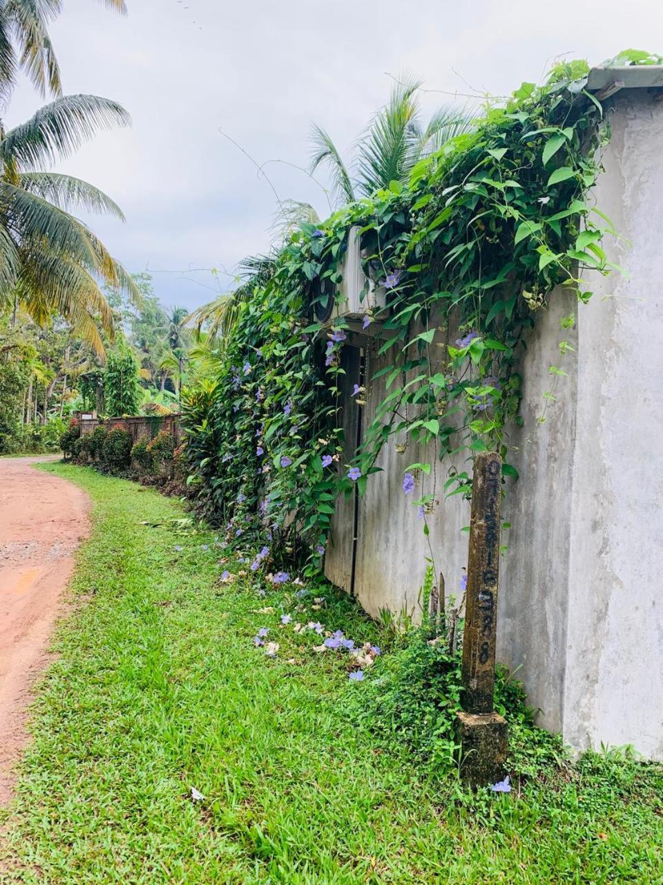 Ashok Villa Weligama Esterno foto